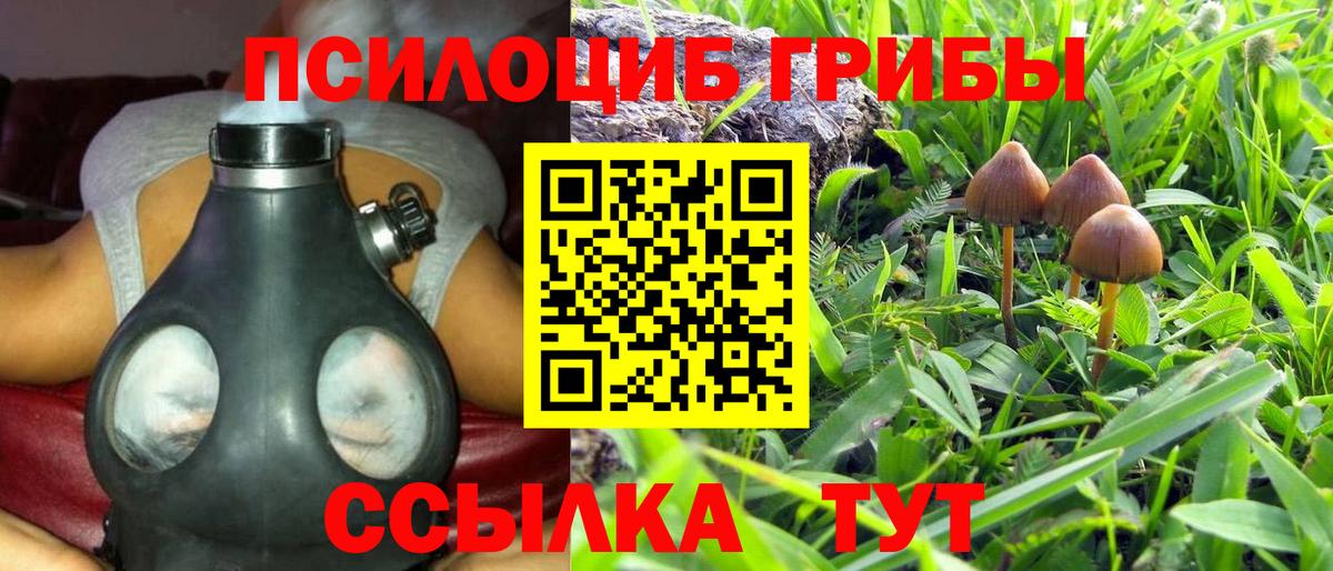 Галлюциногенные грибы Psilocybe  Вход с VPN  хочу наркоту  Кувандык  Галлюциногенные грибы Magic Shrooms 