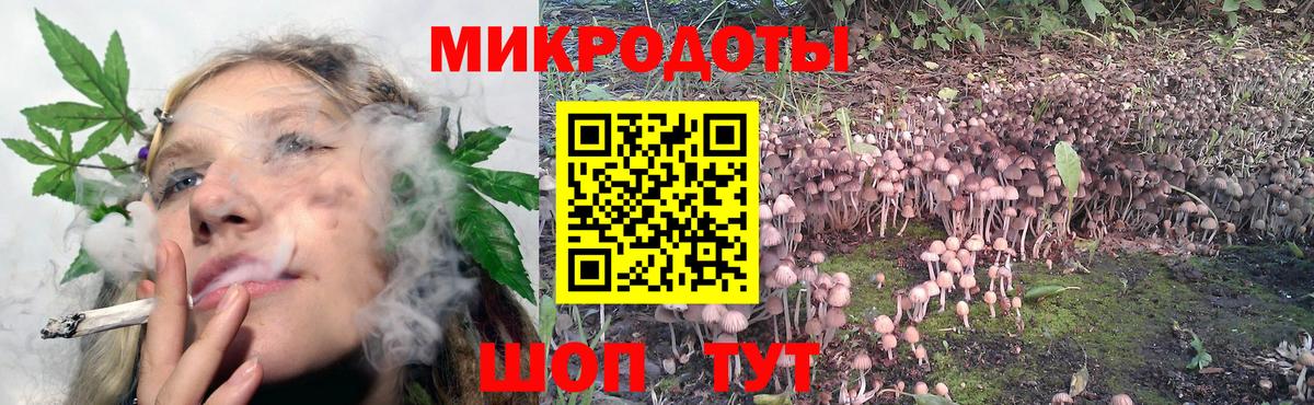 Псилоцибиновые грибы Psilocybine cubensis Кувандык