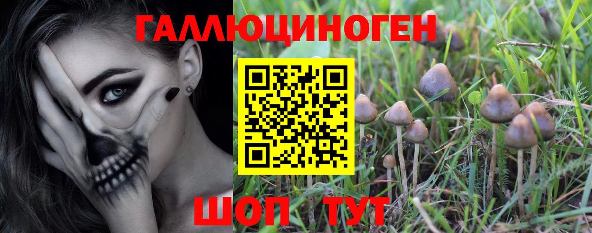 Меф кристаллы  Кувандык  Цена  Кокаин  Вход с VPN  Канабис  Гашиш 